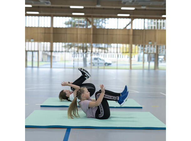 Sett Airex Titania 5 stk. matter Tidligere AIREX Olympia gymmatter