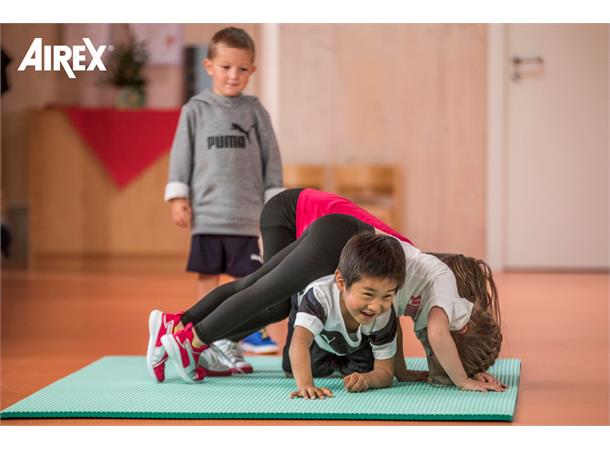 Sett Airex Titania 5 stk. matter Tidligere AIREX Olympia gymmatter