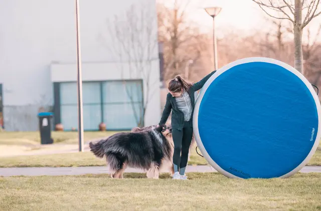 AirTrack | AirSpot Minitrampoline P3 Large 140 cm 