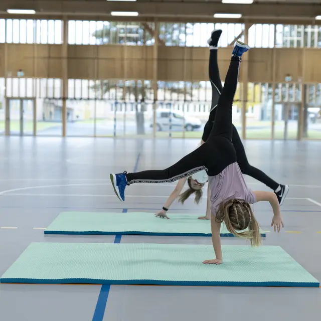 Sett Airex Titania 5 stk. matter Treningsmatte for skole og idrettshall 
